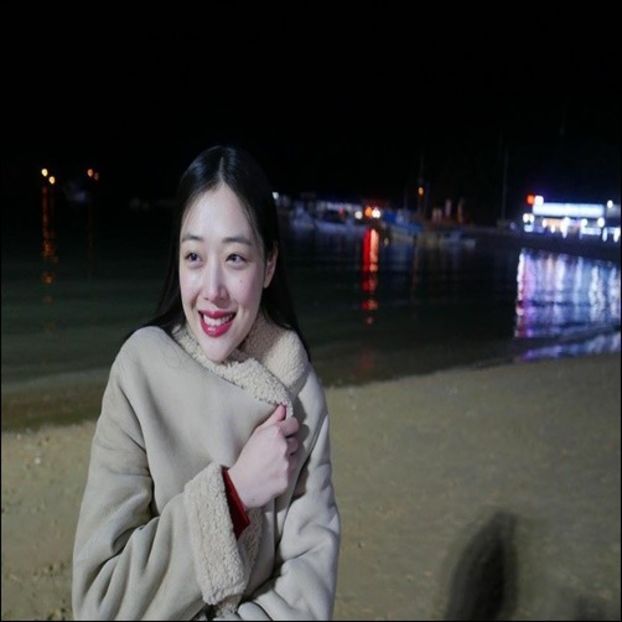 Day 87 - 11.01.2020 - 0x _ In memory of SULLI _ choi jinri