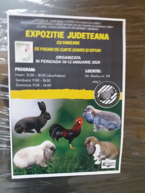  - Expoziția de găini și iepuri Sibiu 2020
