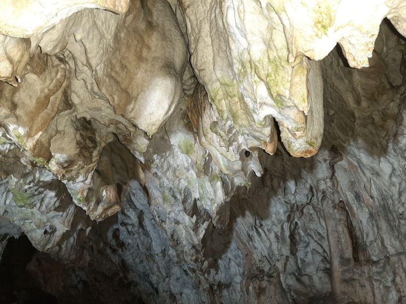  - Peștera Polovragi ianuarie 2020