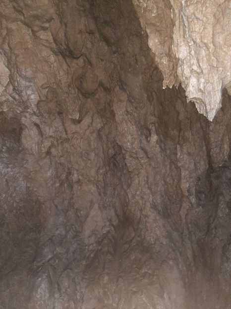  - Peștera Polovragi ianuarie 2020