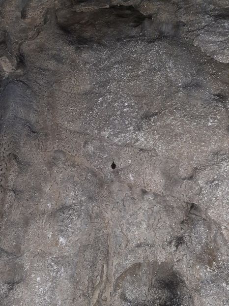  - Peștera Polovragi ianuarie 2020