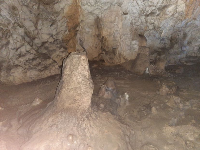  - Peștera Polovragi ianuarie 2020