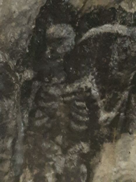  - Peștera Polovragi ianuarie 2020