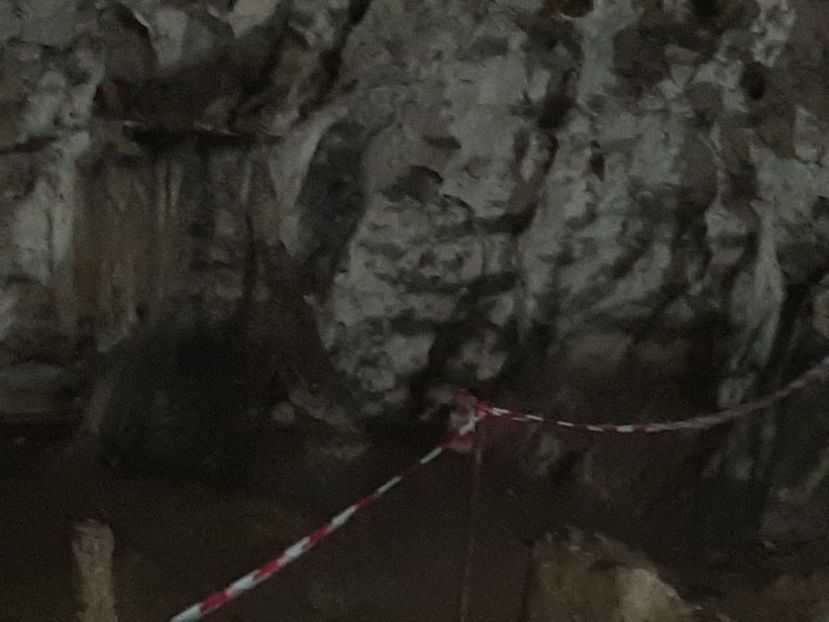  - Peștera Polovragi ianuarie 2020