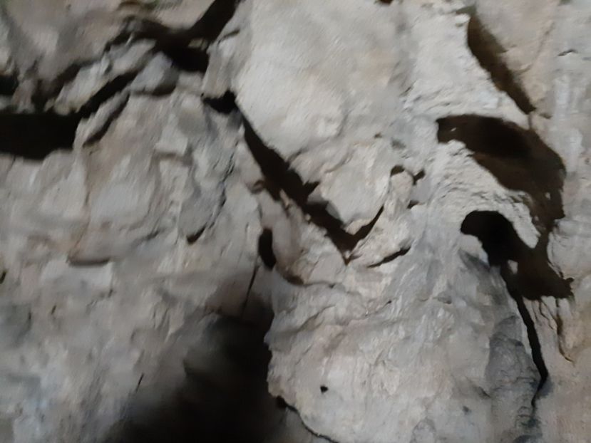  - Peștera Polovragi ianuarie 2020