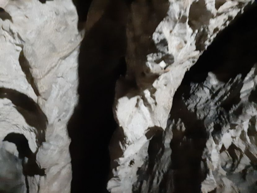  - Peștera Polovragi ianuarie 2020