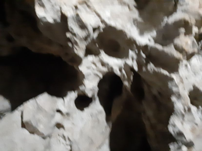  - Peștera Polovragi ianuarie 2020