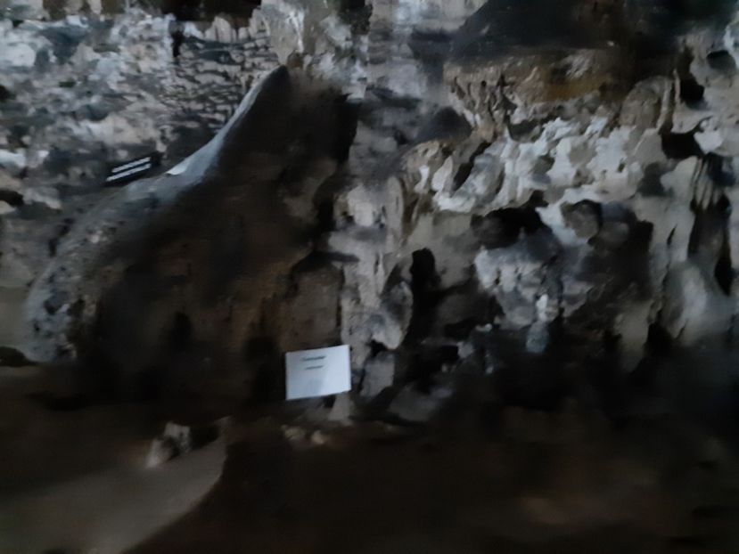  - Peștera Polovragi ianuarie 2020