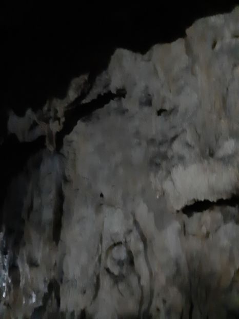  - Peștera Polovragi ianuarie 2020