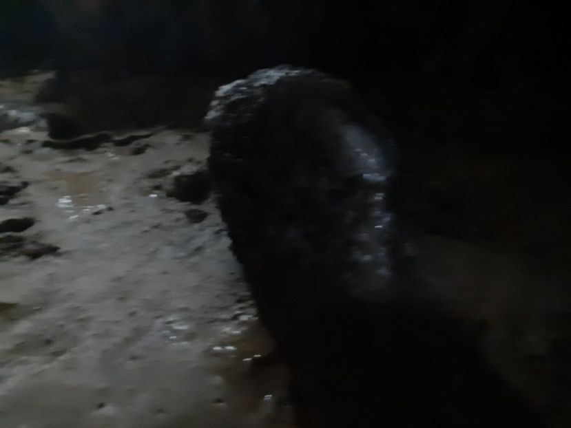  - Peștera Polovragi ianuarie 2020