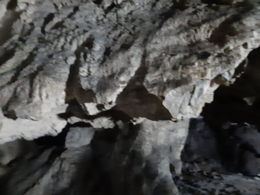  - Peștera Polovragi ianuarie 2020