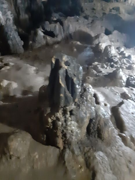  - Peștera Polovragi ianuarie 2020