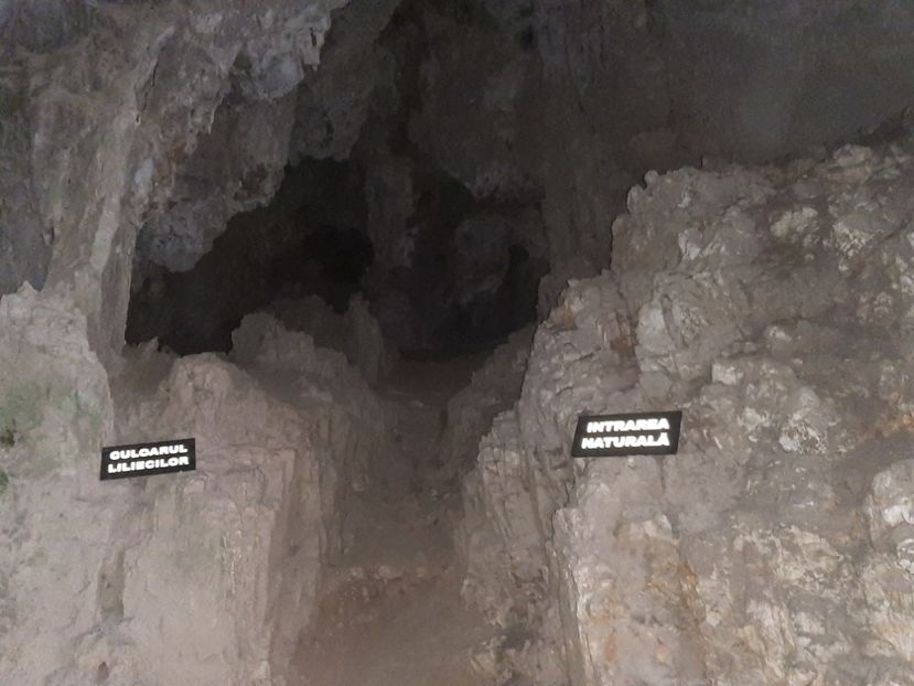  - Peștera Polovragi ianuarie 2020