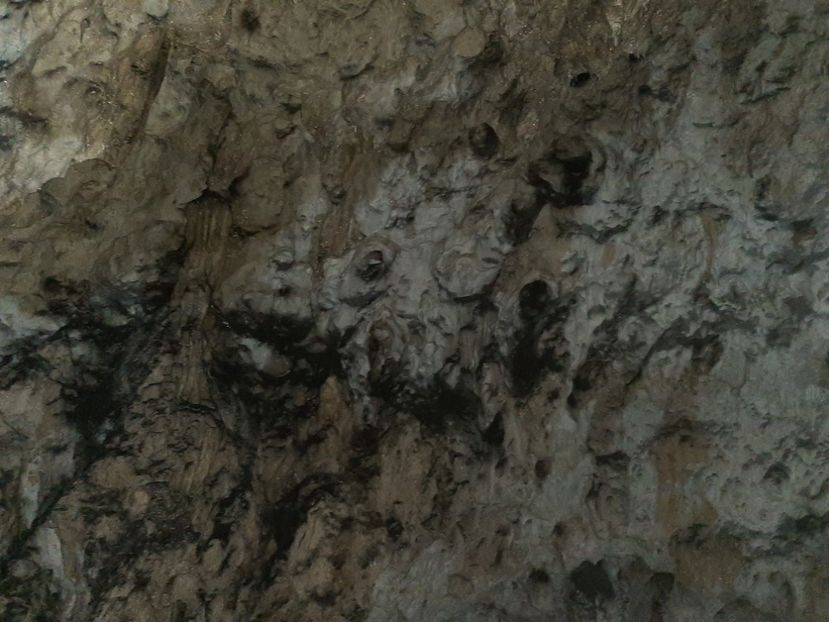  - Peștera Polovragi ianuarie 2020