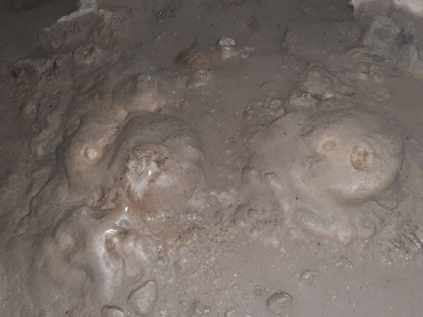  - Peștera Polovragi ianuarie 2020