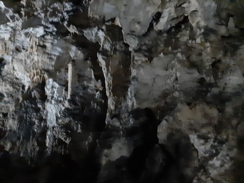  - Peștera Polovragi ianuarie 2020