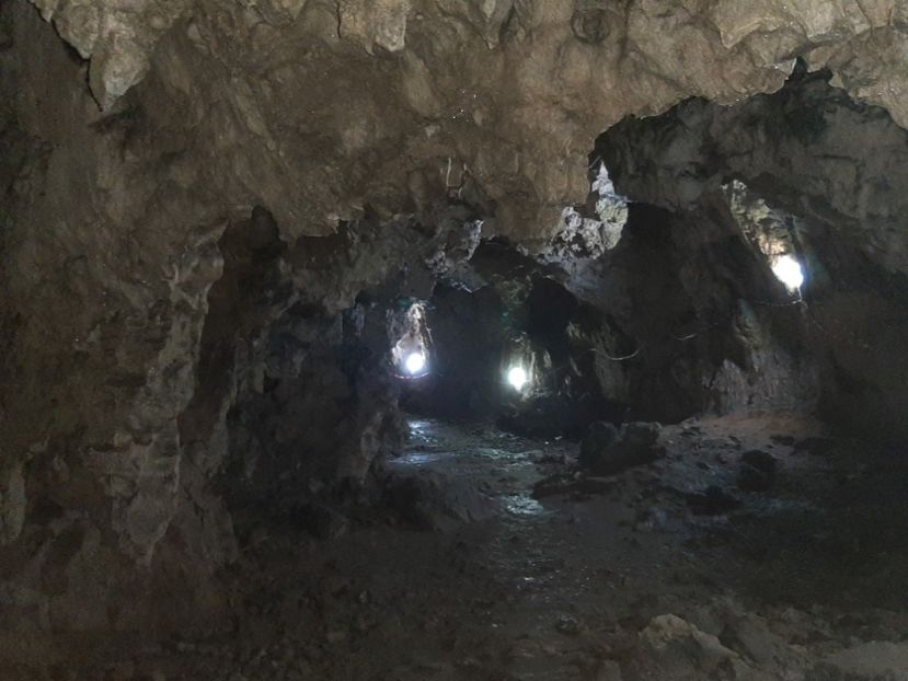  - Peștera Polovragi ianuarie 2020