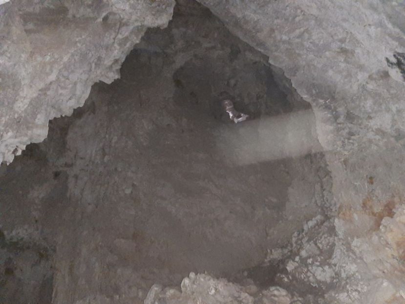  - Peștera Polovragi ianuarie 2020