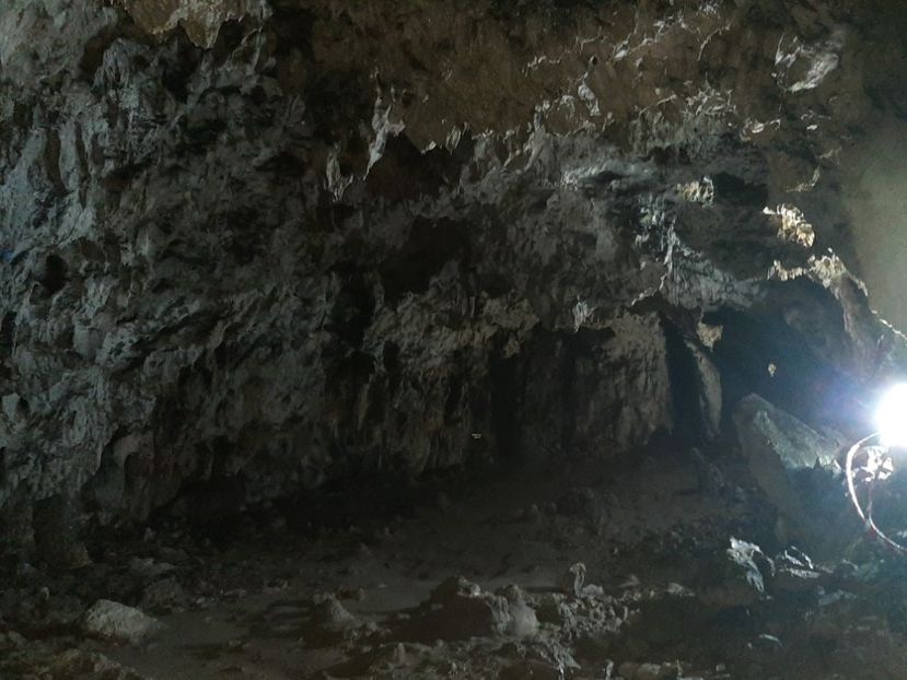  - Peștera Polovragi ianuarie 2020