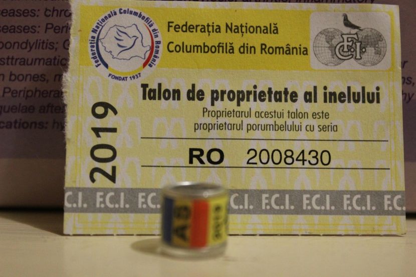 RO AS 2O19 - COLECTIE  DE INELE   ROMANIA