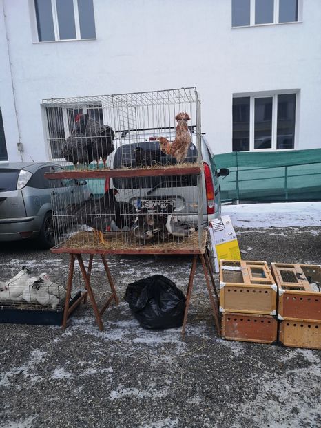 Turda 12 01 - Tirguri2020