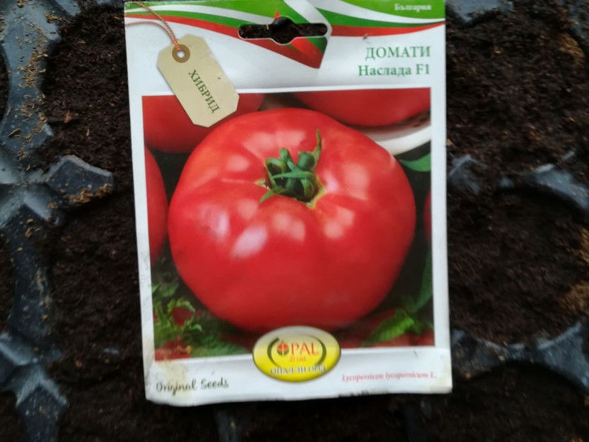 13 ianuarie 2020 - 2020