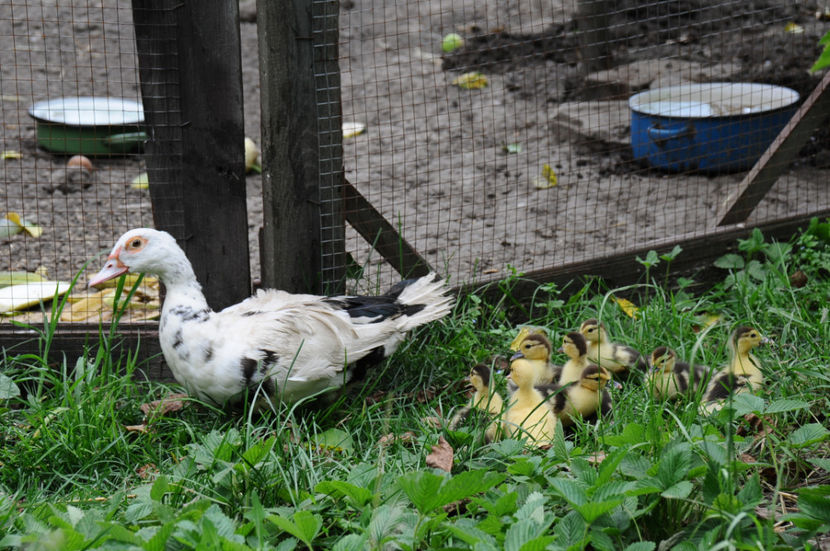  - 03 Rate lesesti 2019