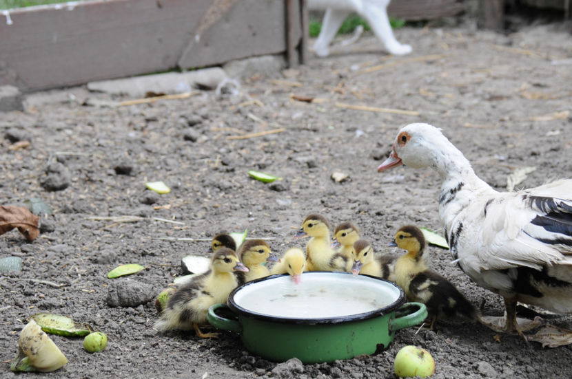  - 03 Rate lesesti 2019