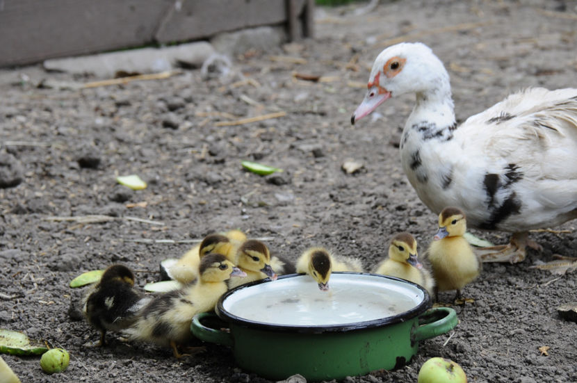  - 03 Rate lesesti 2019