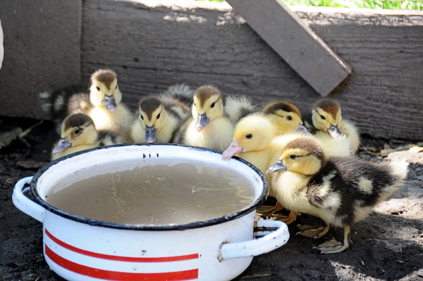  - 03 Rate lesesti 2019