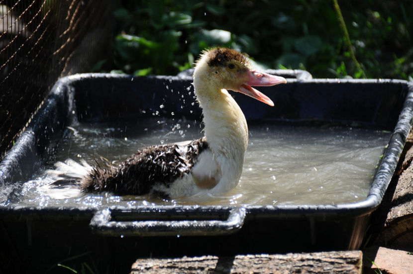  - 03 Rate lesesti 2019