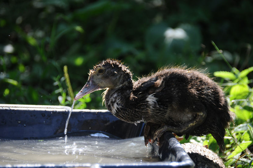  - 03 Rate lesesti 2019