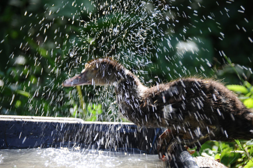  - 03 Rate lesesti 2019