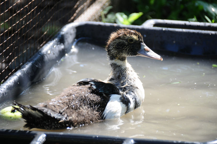  - 03 Rate lesesti 2019