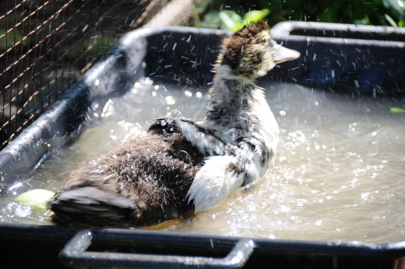  - 03 Rate lesesti 2019