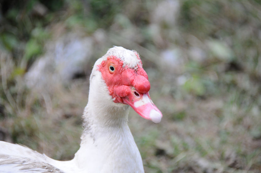  - 03 Rate lesesti 2019