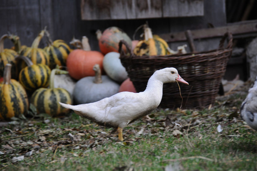  - 03 Rate lesesti 2019