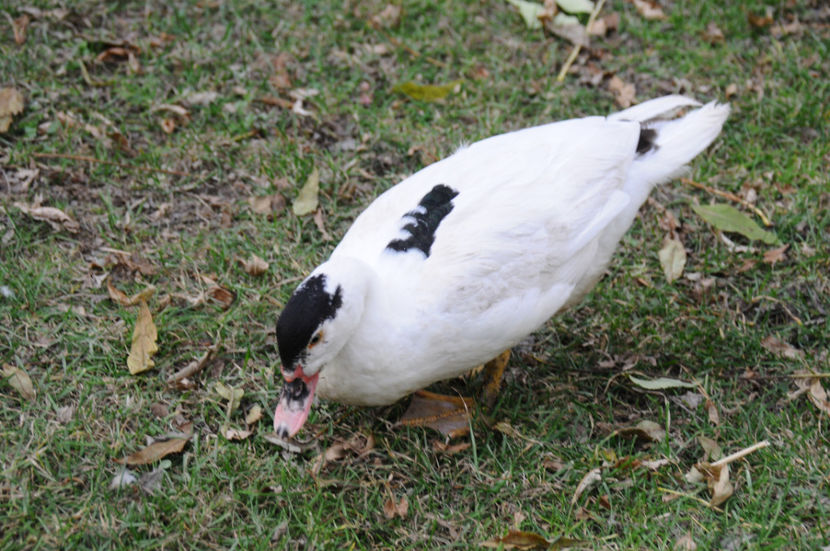  - 03 Rate lesesti 2019