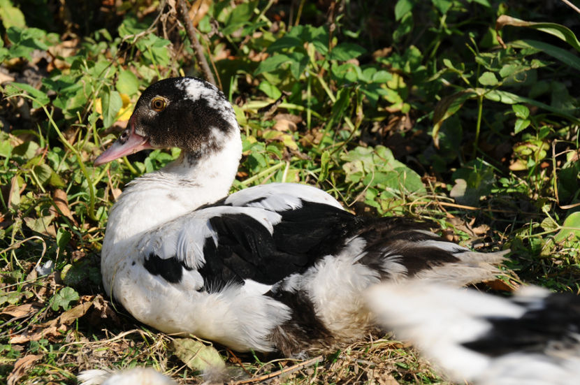  - 03 Rate lesesti 2019