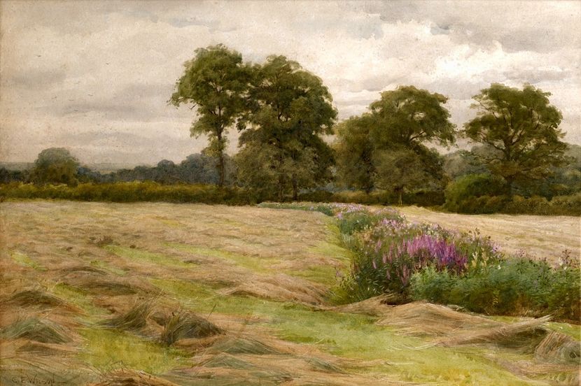 34537911952_e935c3e57b_o - Tablouri peisaje 3