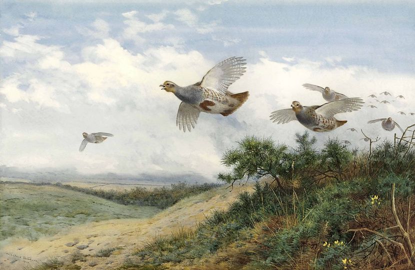 45127456005_ea5f256e1c_o - Tablouri peisaje 3