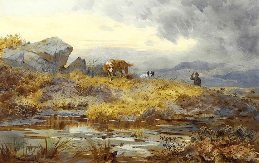 46039127141_7cedd615ca_o - Tablouri peisaje 3