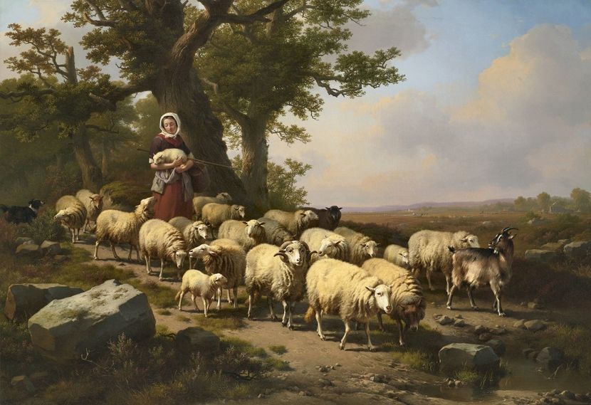 33306840772_da234a44a6_o - Tablouri peisaje 3