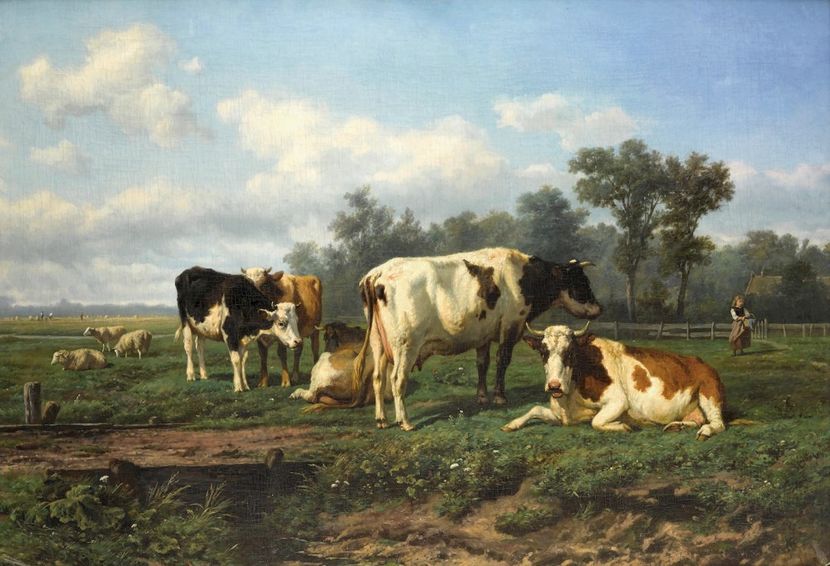 46227663811_dab3ecb514_o - Tablouri peisaje 3