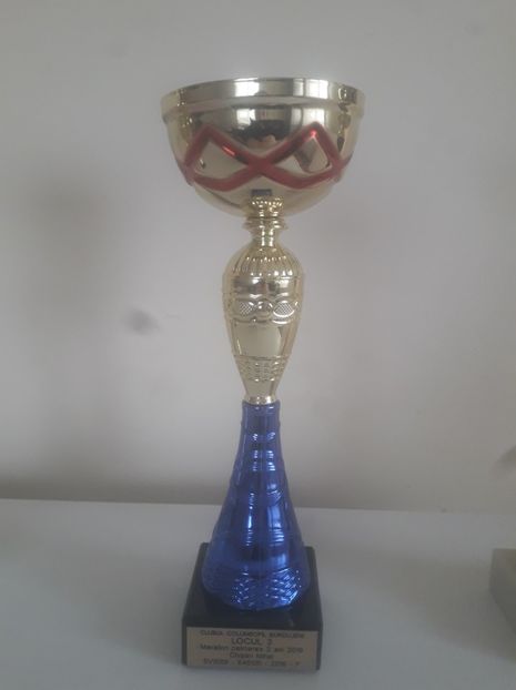 loc 3 maraton palmares 2 ani 051-16 club Burdujeni - CUPE 2019