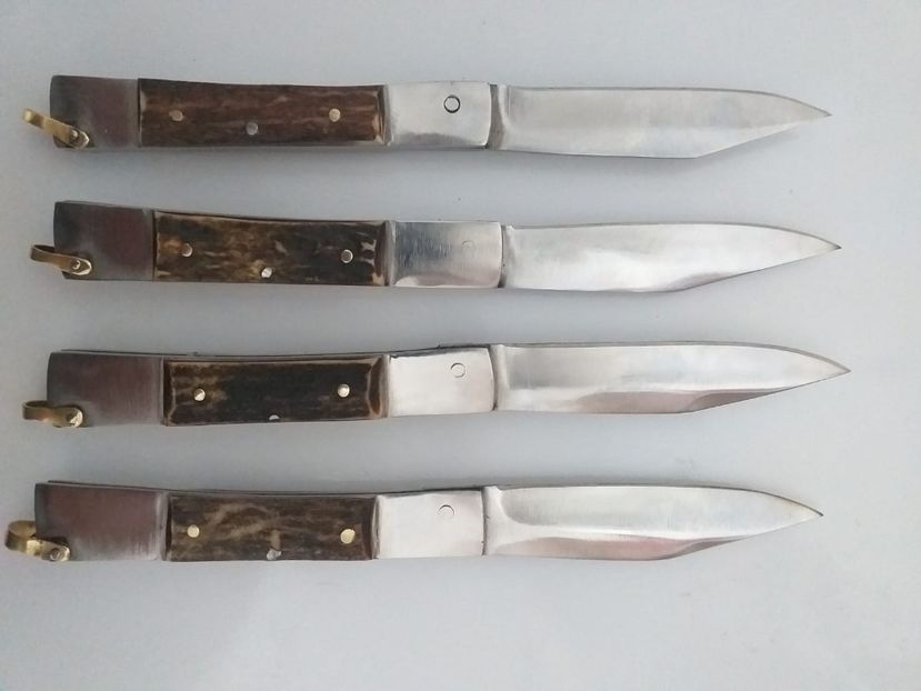 IMG-20200111-WA0032 - Briceag - Ianuarie 2020