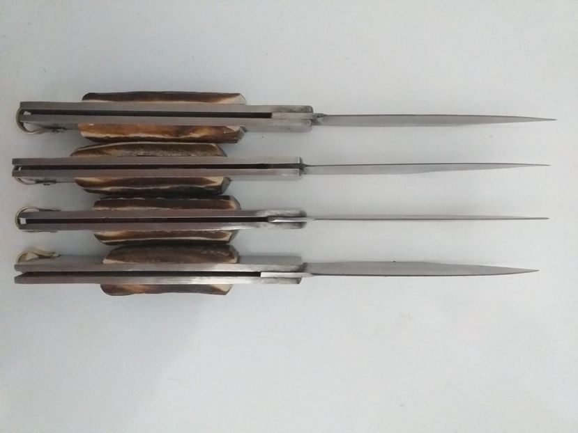 IMG-20200111-WA0033 - Briceag - Ianuarie 2020