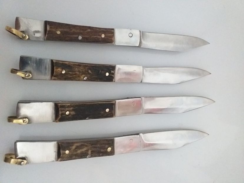 IMG-20200111-WA0036 - Briceag - Ianuarie 2020