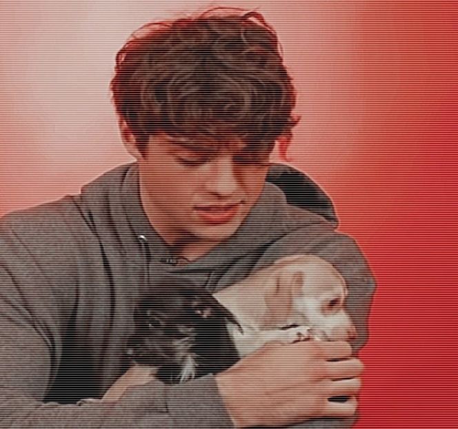 — O expresie facială chiar tipică lui, s-ar zice. - 05 Loving underneath the pines