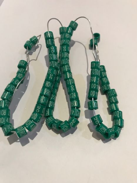 2367512C-A294-400B-B10A-11CDB148386C - Inele Ornament Normale 2020